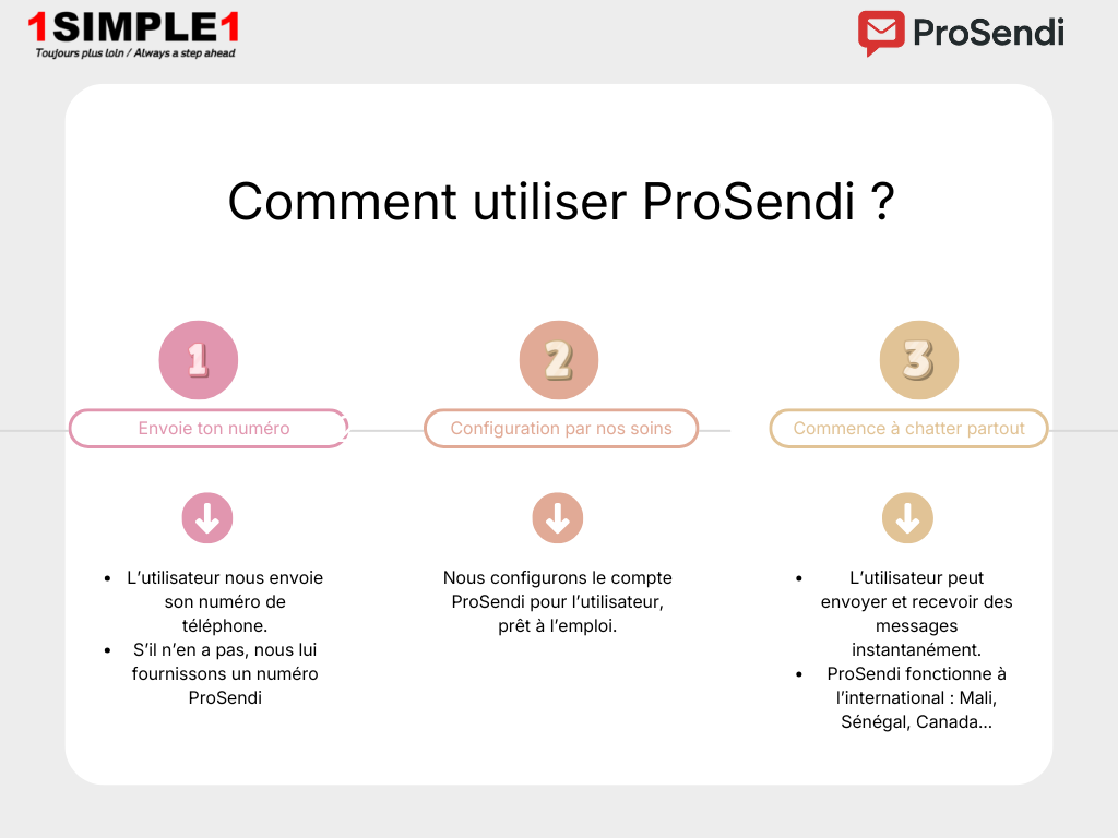 Fonctionnement de ProSendi - Français
